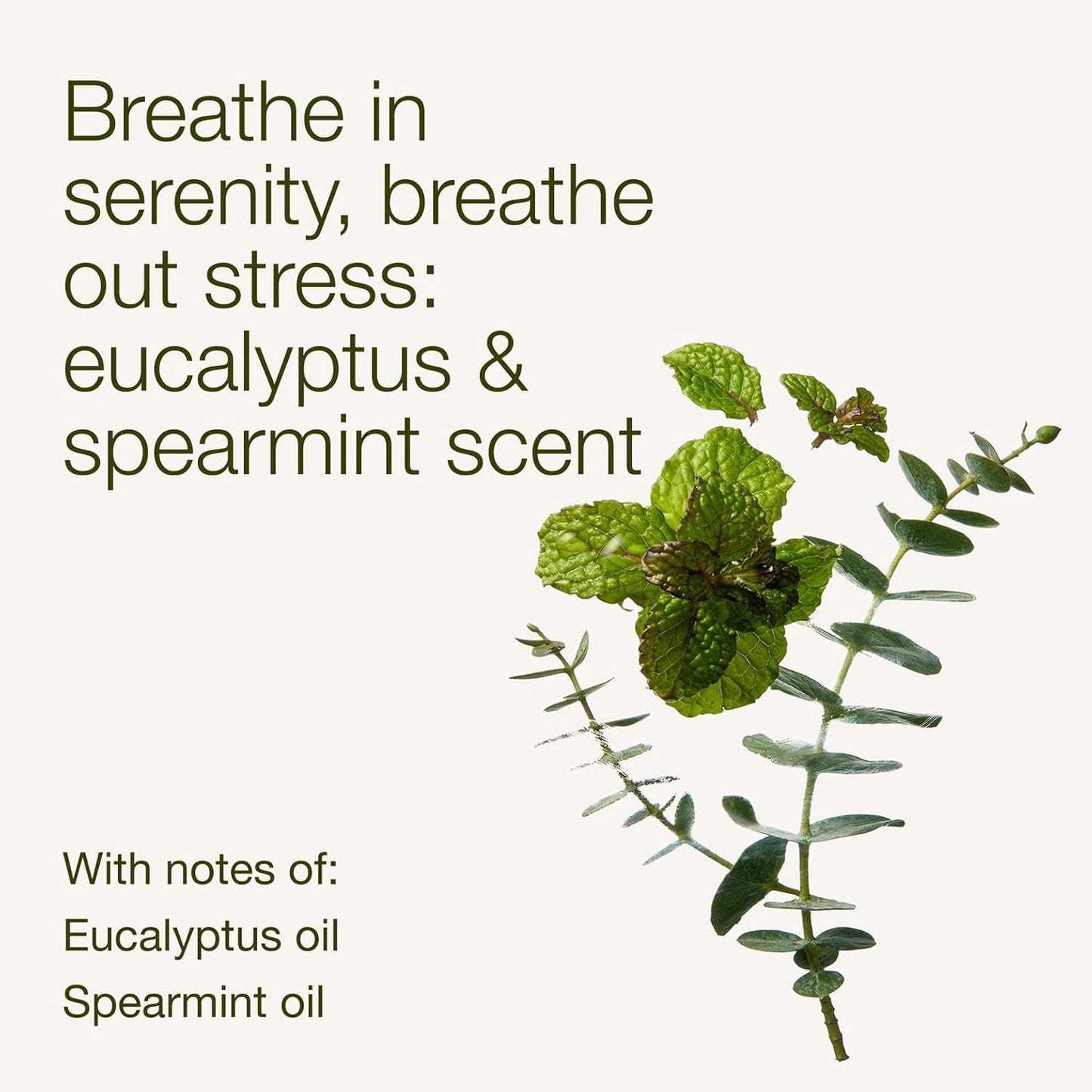 Bath & Body Works Eucalyptus Spearmint Aromatherapy Body Cream, Ultima