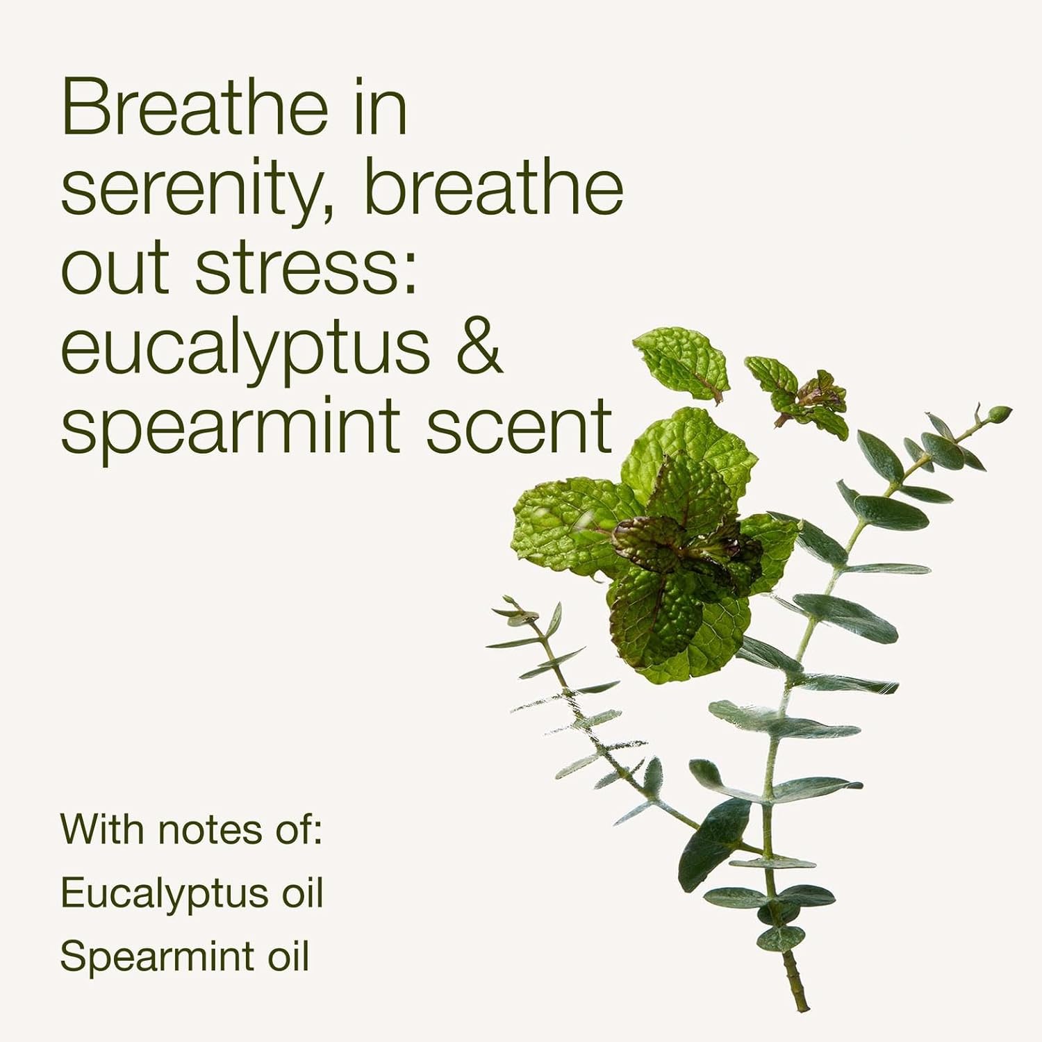 Bath & Body Works Eucalyptus Spearmint Aromatherapy Body Cream, Ultima