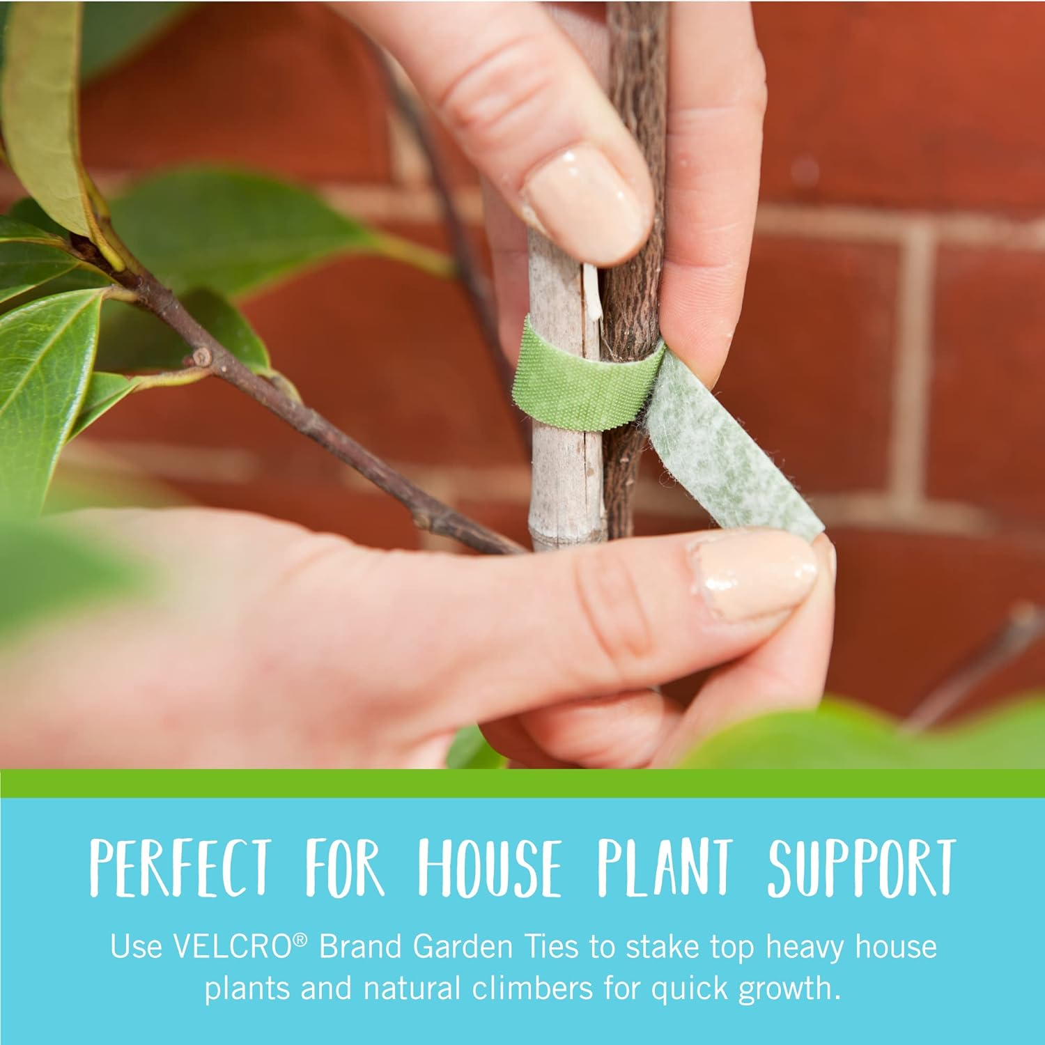 VELCRO Brand VEL-30071-USA ONE-WRAP Garden Ties | Plant Supports for E