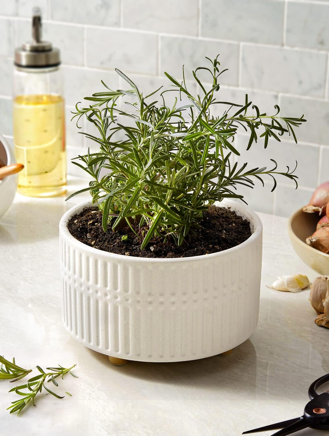 LE TAUCI Succulent Pots, 6.5+8 Inch Ceramic Indoor Plant Pot with Drai