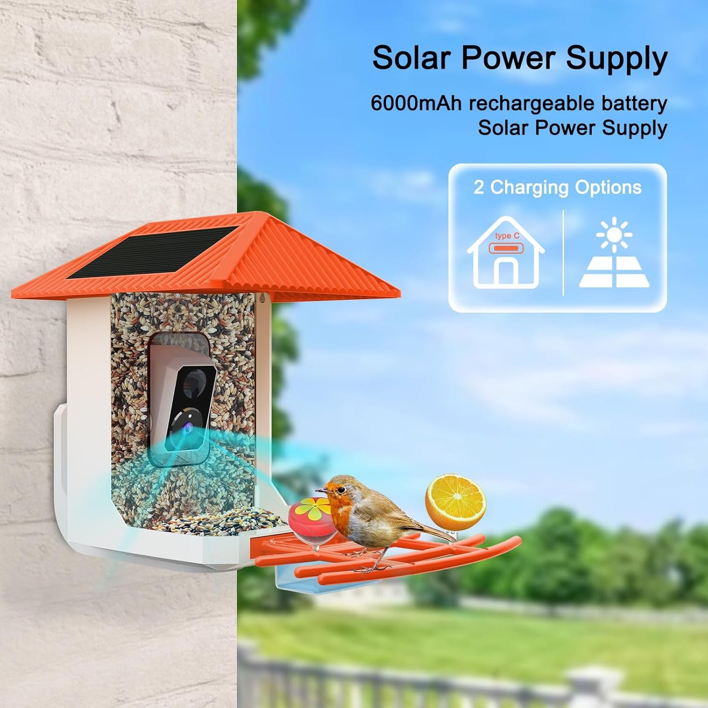 2.5K Smart Bird Feeder with Camera with AI Identify 10000+ Birds Speci