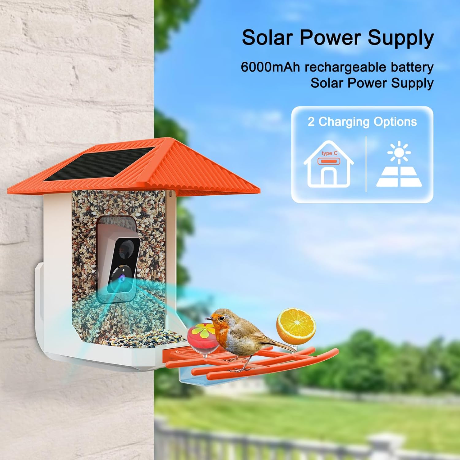2.5K Smart Bird Feeder with Camera with AI Identify 10000+ Birds Speci