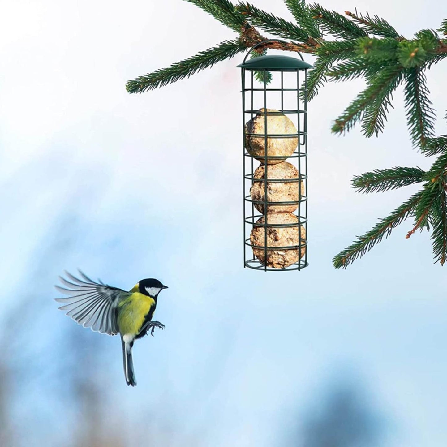 Hanging Wild Bird Feeder with Perch Clear Plastic Tube Mesh Suet Ball 