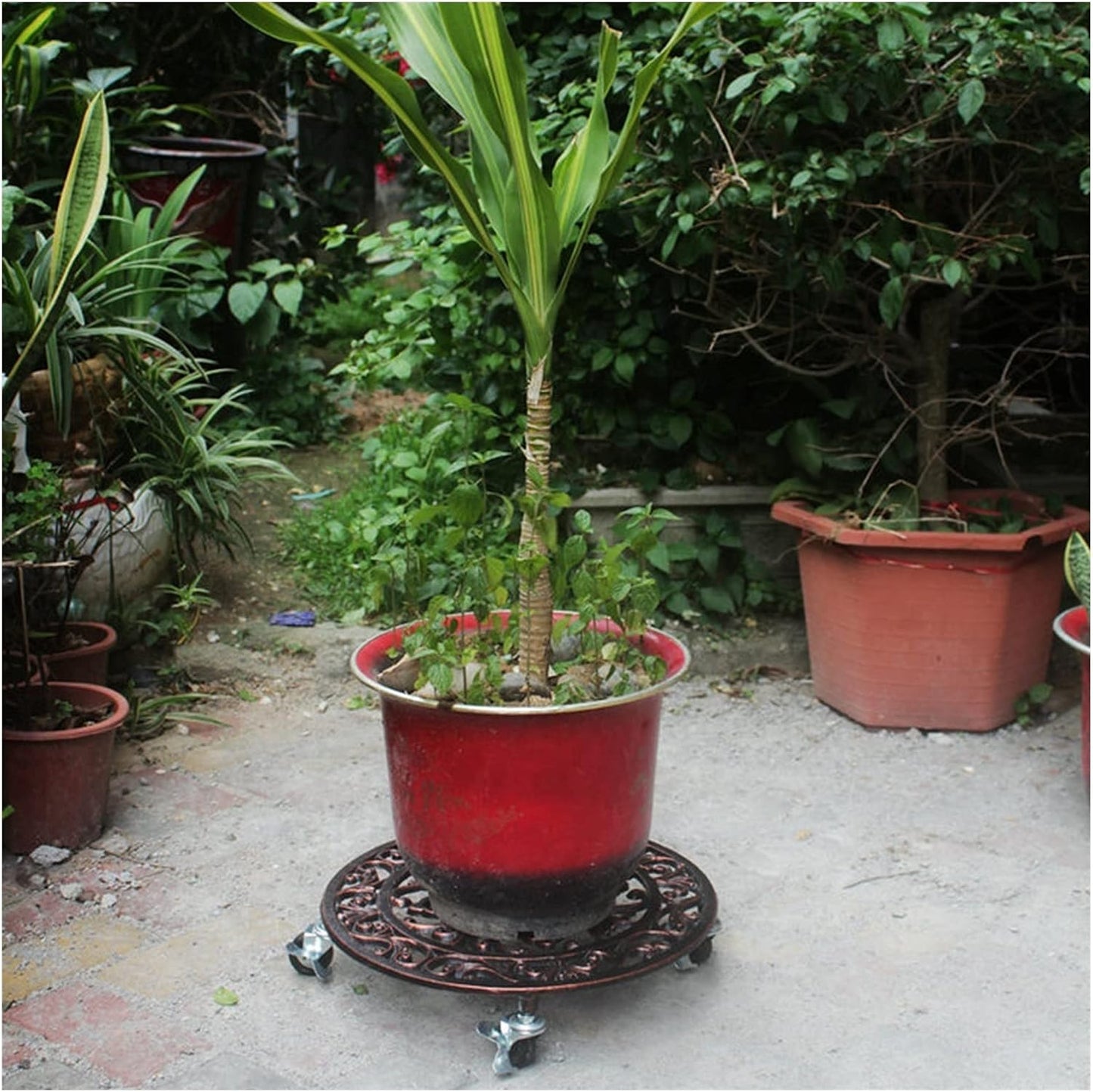 Wooden Vase Base Plant Caddy Cast Iron Plant Stand Round Indoor Outdoor on Roller Patio/Flower Pot (14in Iron Planter Trolley) Wooden Vase Stand (Color : A)