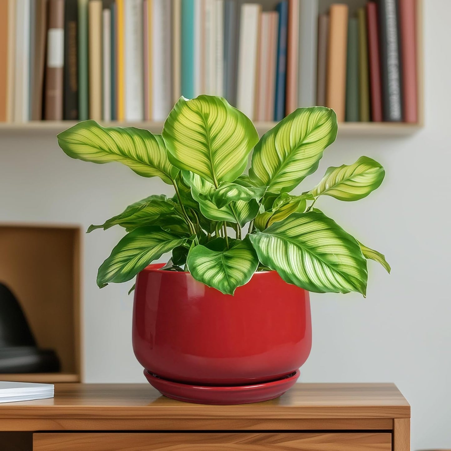 G EPGardening Ceramic Pot for Plants - 6 Inch Plant Pot with Drainage 