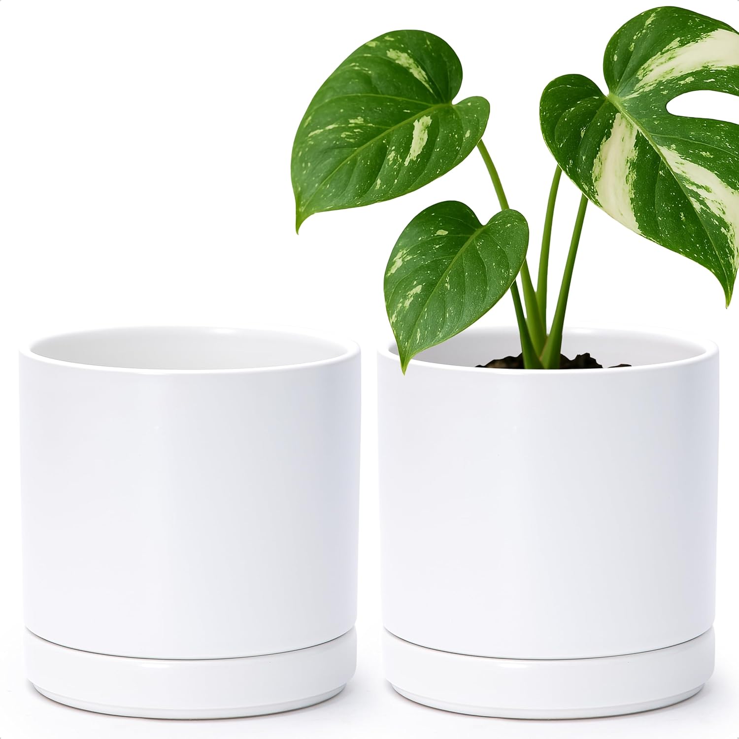 D'vine Dev Set of 2 Plants Pots, 6.5 Inch Ceramic Planter Pot for Plan