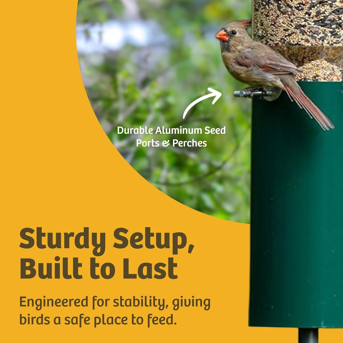 Birds Choice Classic Squirrel Proof Bird Feeder with Pole Mount | Tube Bird Feeder for Cardinals, Chickadees, Woodpeckers | Sturdy Steel for Long-Lasting Use | Backyard Bird Seed Dispenser | Green