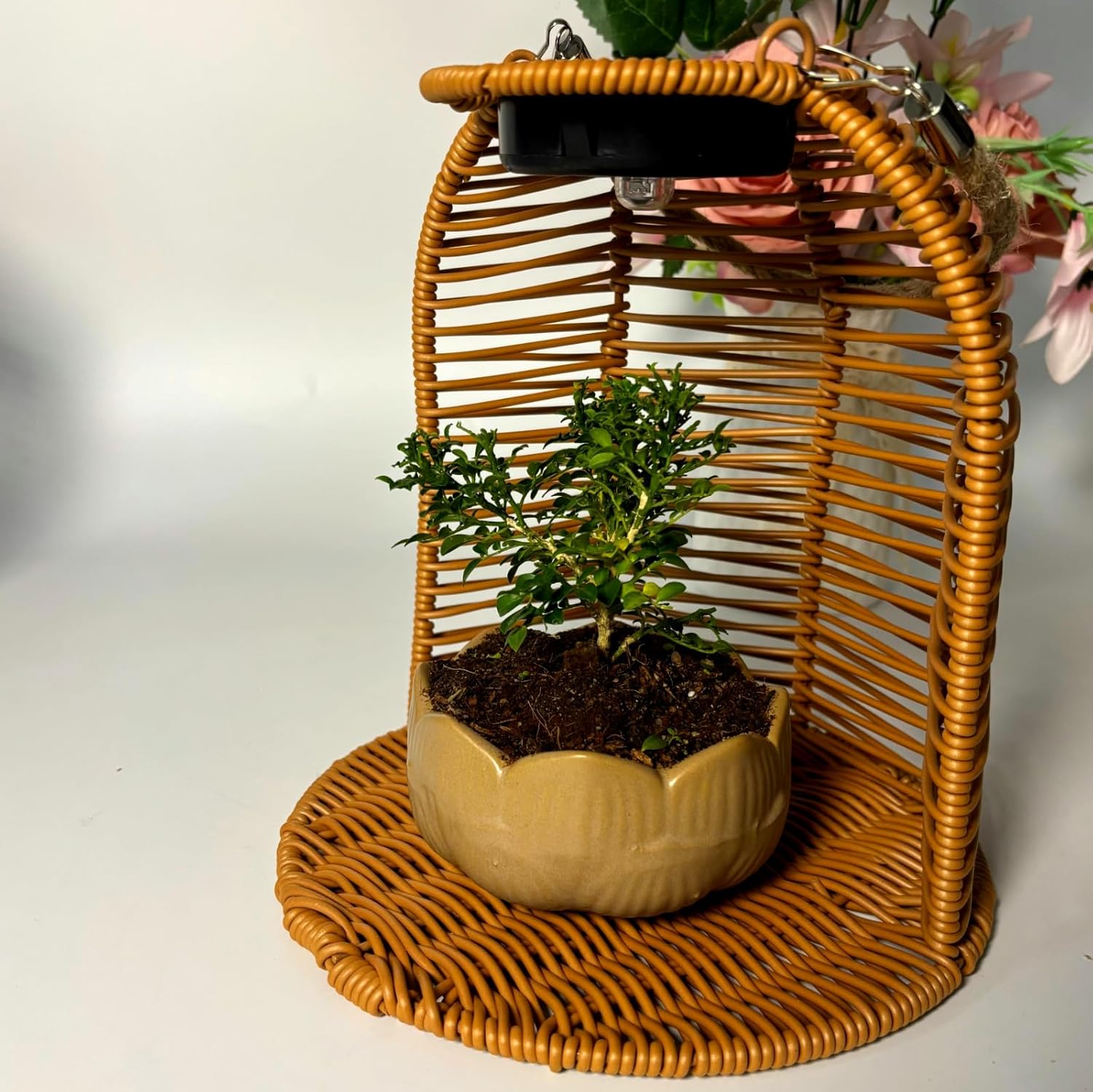 Hanging Planter for Indoor Plants, Rattan Hanging Flower Pots with Sol