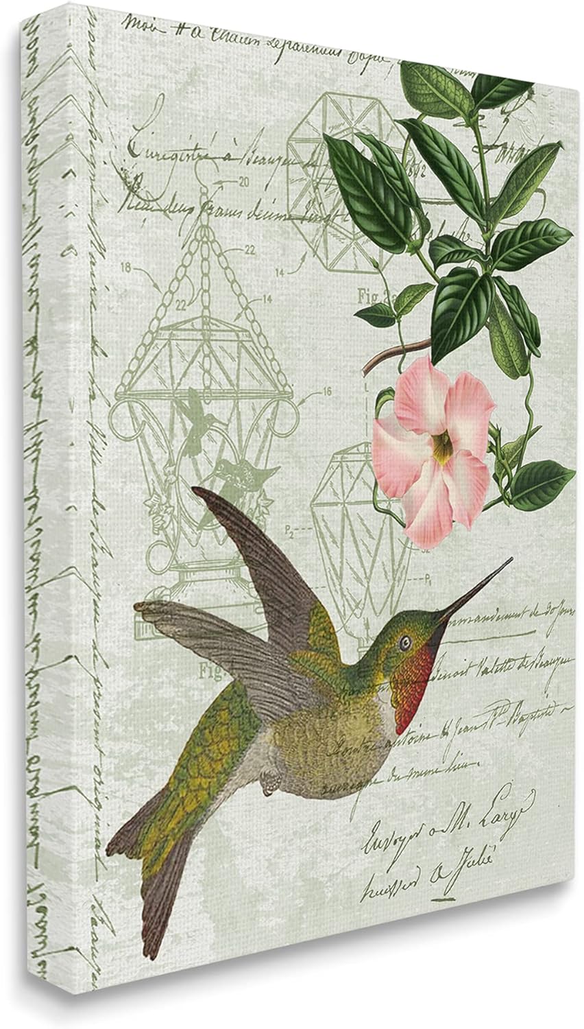Stupell Industries Vintage Hummingbird Feeder Patent Pink Floral Antique Script