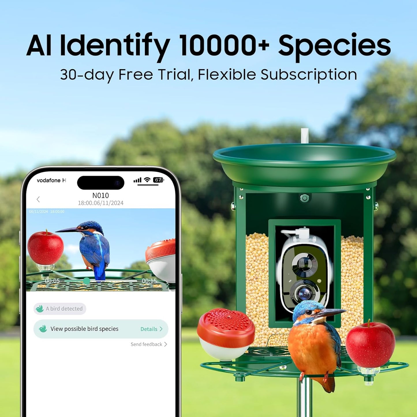 Bird Feeder with Camera,Camii Metal Birdfeeder 2K hd Cameras Birds Species Identified Solar Power Auto Capture Bird & Motion Detection for Video Cameras BirdFeeders for Birds Lovers