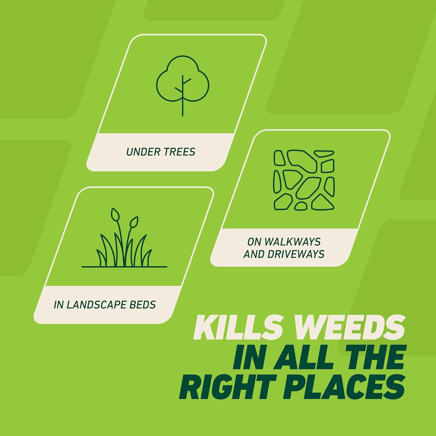 Ortho GroundClear Weed & Grass Killer with Comfort Wand - Kills Dandel