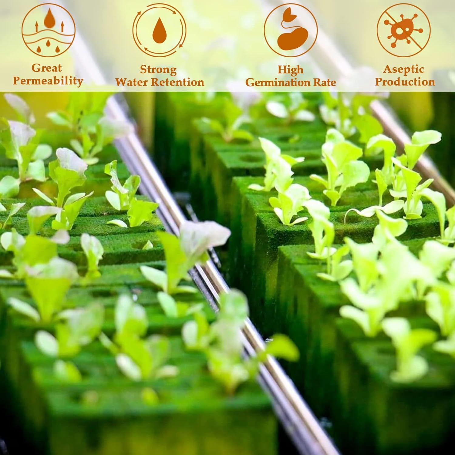 Legigo 1 Inch Rockwool Cubes Seed Starter Plugs for Hydroponics, RockW