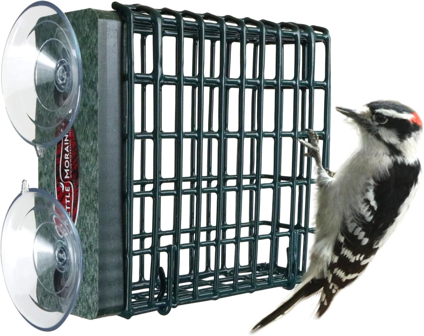 Kettle Moraine Window Mount Single Suet Cake Woodpecker Bird Feeder