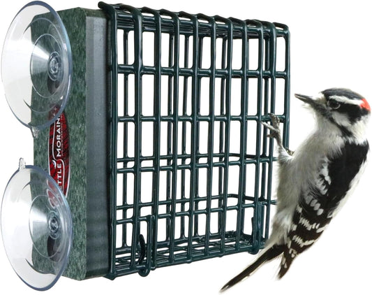 Kettle Moraine Window Mount Single Suet Cake Woodpecker Bird Feeder