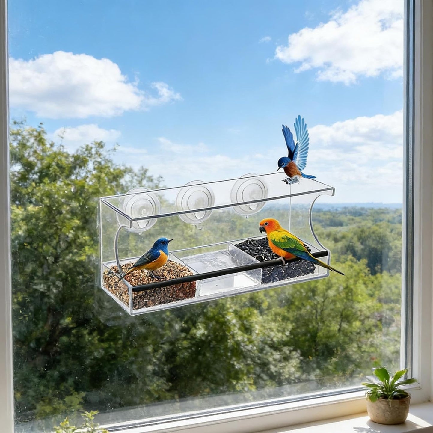 Bird Feeder Suction Cup Window – Spill-Proof Food Box | Acrylic Detachable Clear Window Bird Feeder for Indoor Viewing, Deck, Patio, Balcony, Kids' Observation, Garden, Home, Birds