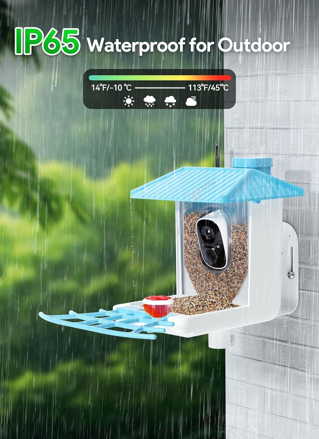 Osoeri Bird Feeder with Camera - Solar Smart Bird Feeder with AI Identify, 1080P HD Auto Capture Birds Video, Real-Time Alerts, Gifts for Family and Friends, 2.4GHz WiFi
