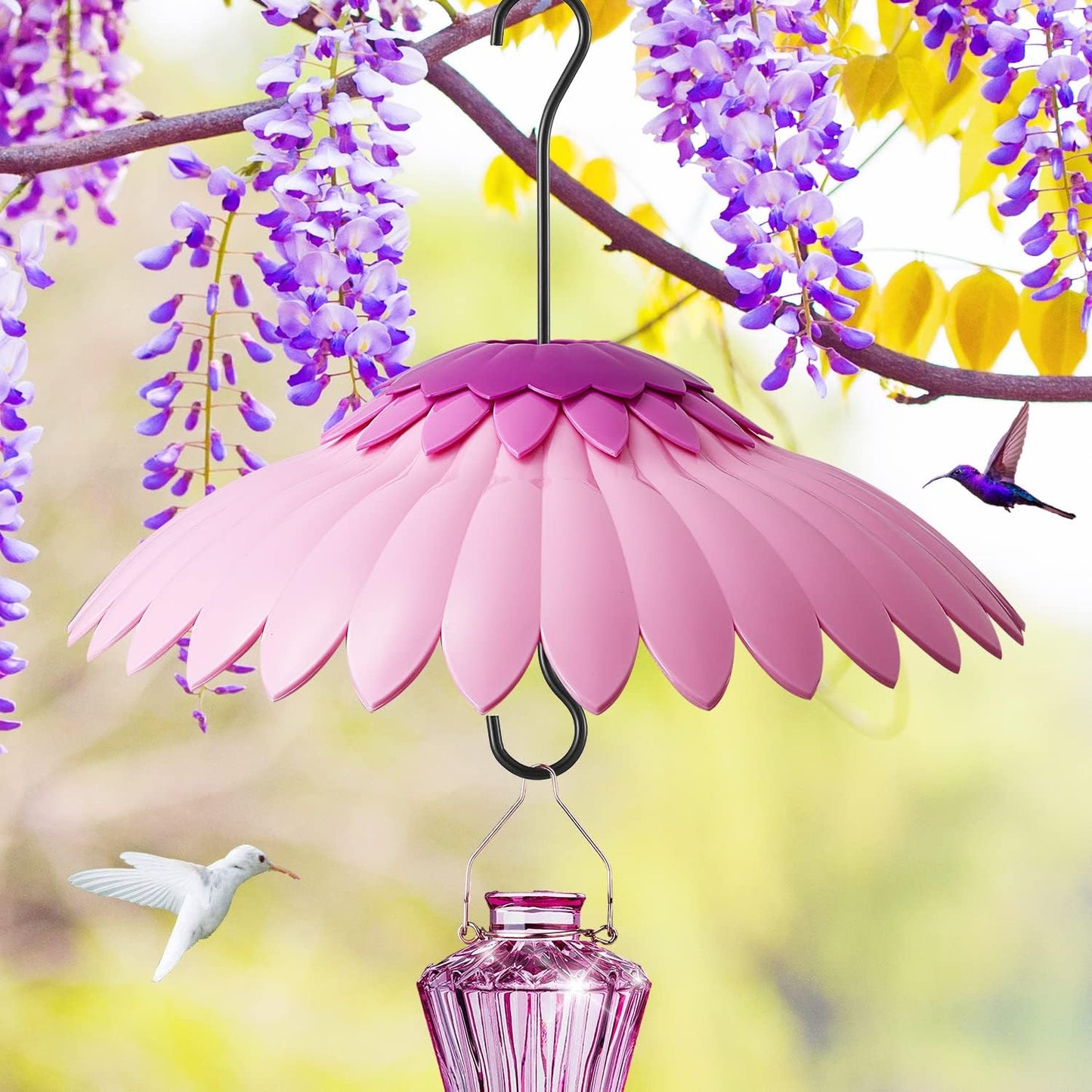 Bird Feeder Baffle Weather Rain Guard Dome Cover Keep Nectar Cool 14" Largh Diameter with Moat and 3 Hooks for Outside Hanging Hummingbird Feeder Bird Feeder（Pink Purple）