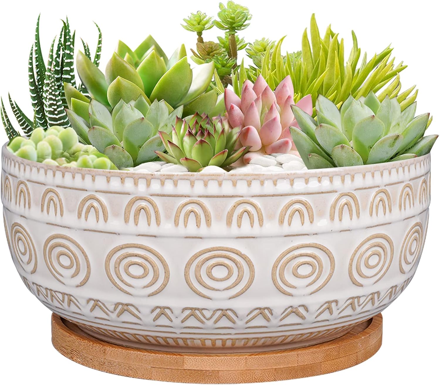 8 Inch Ceramic Succulent Planter Pot with Drainage Hole and Saucer Rou