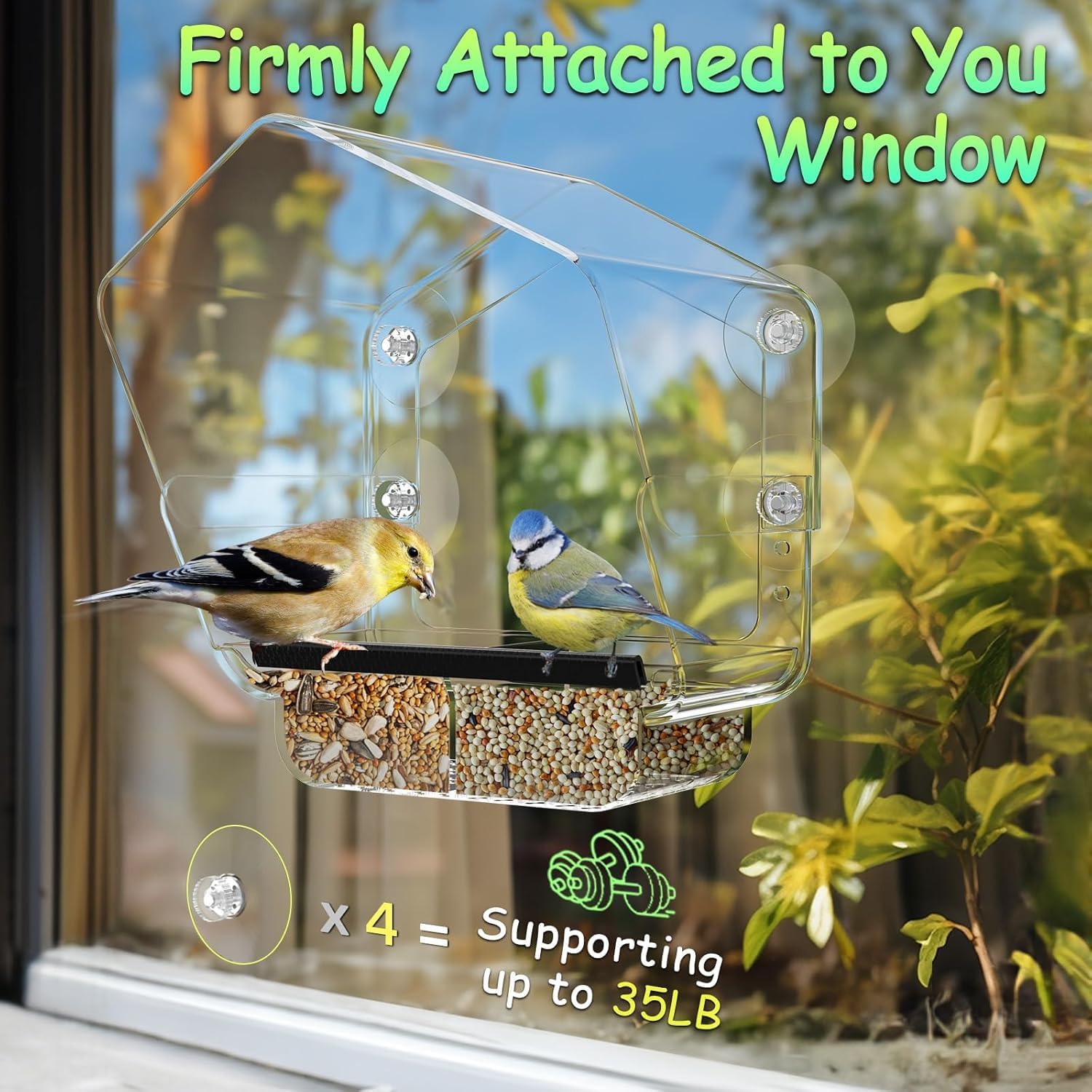 Ermete Window Bird Feeder with Strong Suction Cups, Large View Clear F