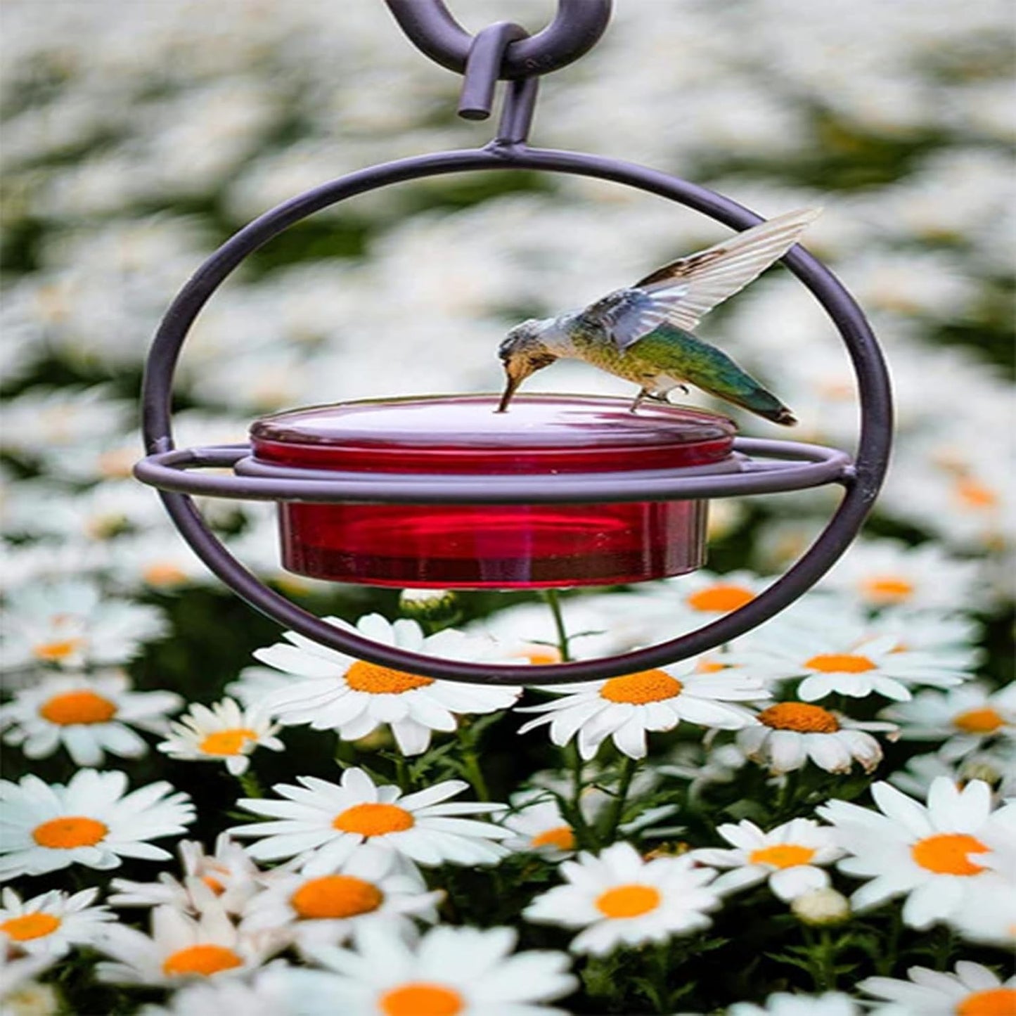 2025 New Model 3 Pack Humble Slim Hummingbird Feeder - Circular Leak-Resistant Design, Easy Clean & Fill, Outdoor Hanging Feeders for Garden, Backyard, Patio, Window (Red)