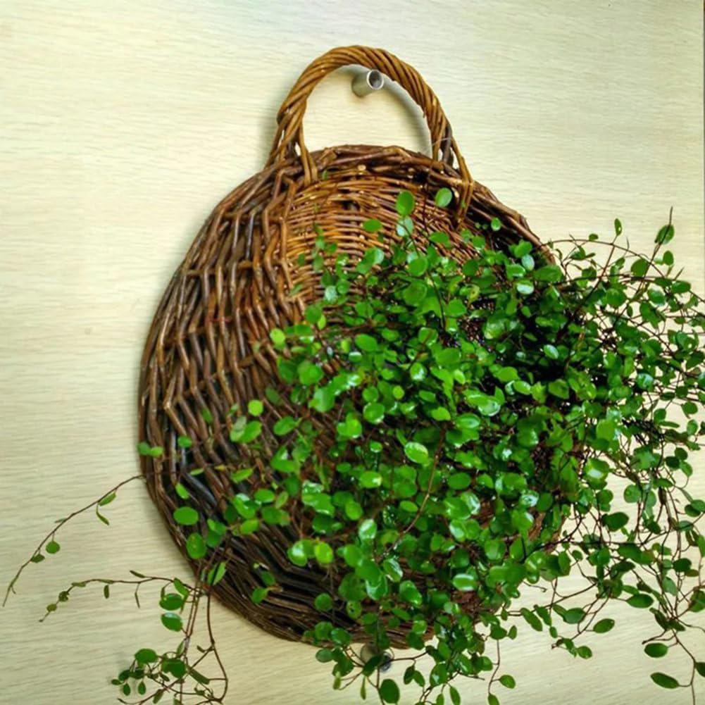 Rattan Planter, Wall Hanging Planter, Rattam Basket, Garden Pots, Wall Mount Vase for Vine Plants, Brown Color, 32x38cm