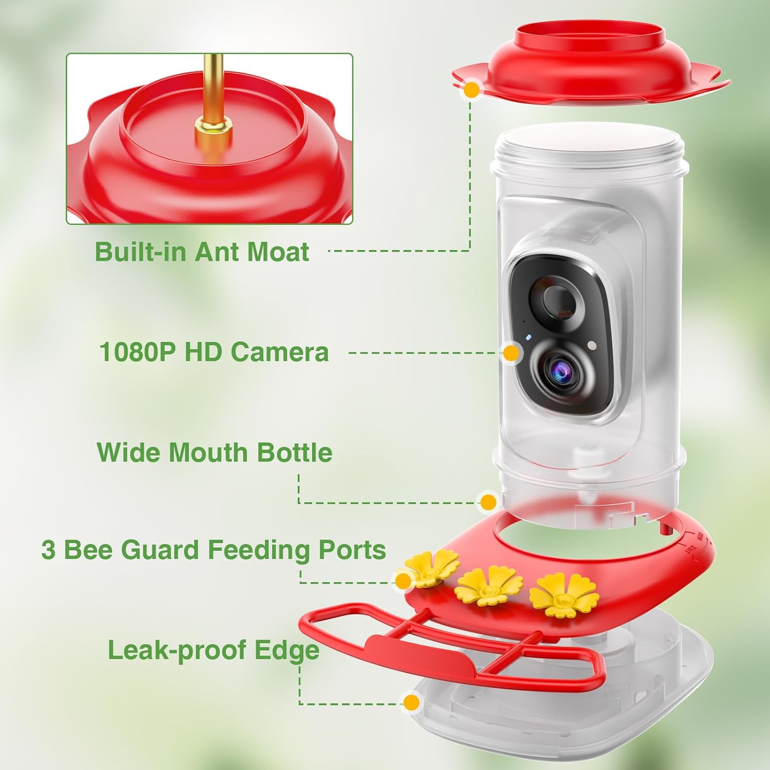 Hummingbird Feeder with Camera: Auto Capture & AI Bird ID, Wide Mouth 
