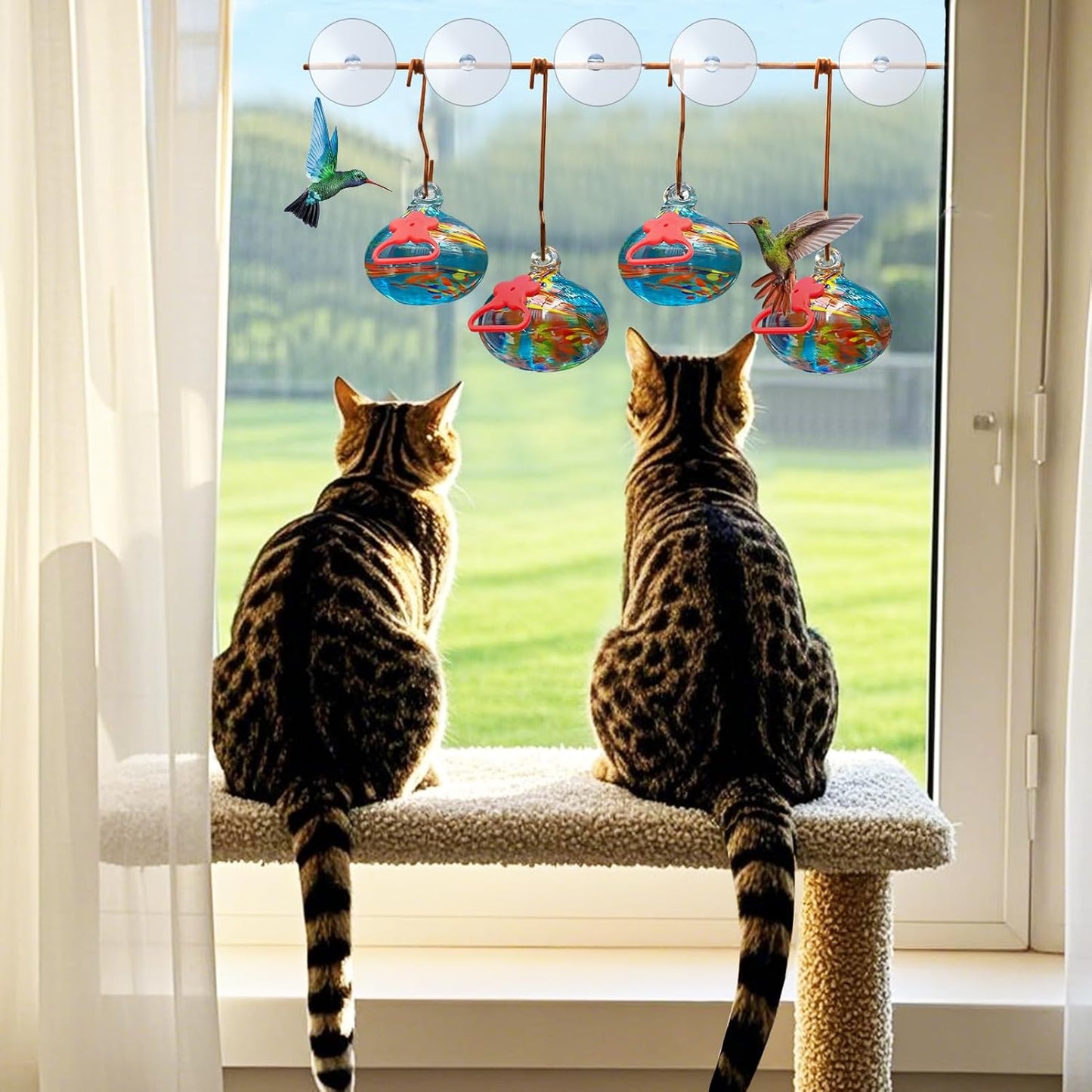 Window Hummingbird Feeder with Suction Cups,Hand-Blown Glass Hummingbi