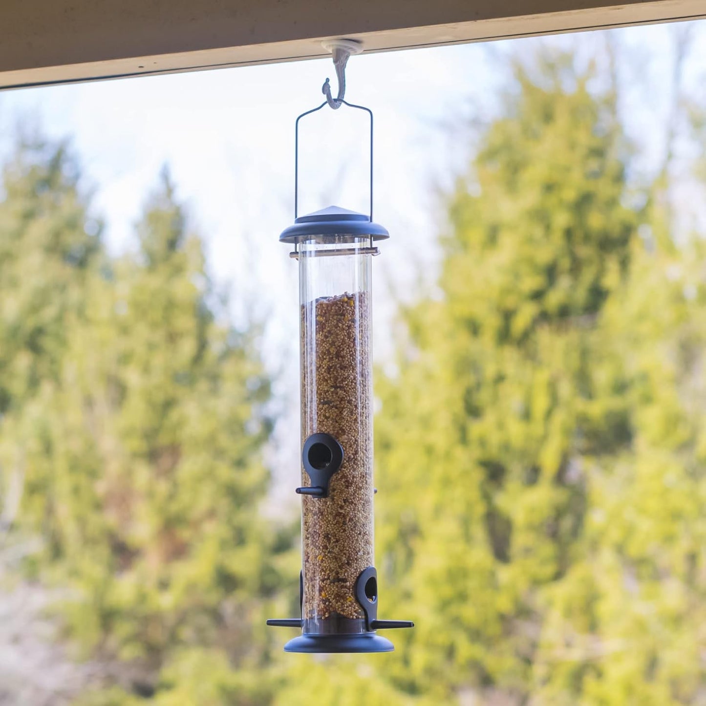 Cottage Garden 15 inch Matte Black Weather Resistant 1 Lb. Outdoor Hanging Bird Seed Feeder