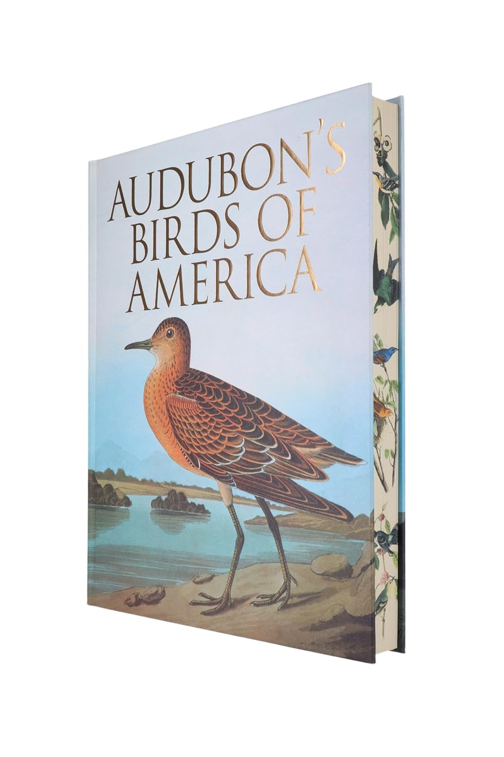 Audubon's Birds of America (Arcturus Epic Classics)