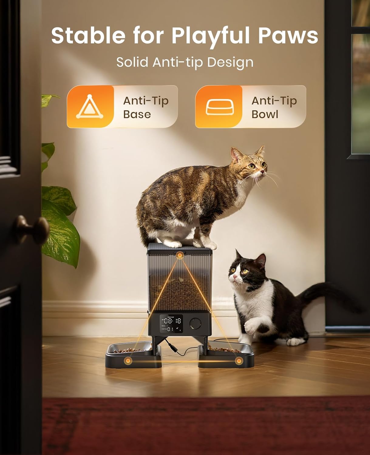 oneisall Automatic Cat Feeder for 2 Cats, 20 Cups/5L Automatic Cat Foo