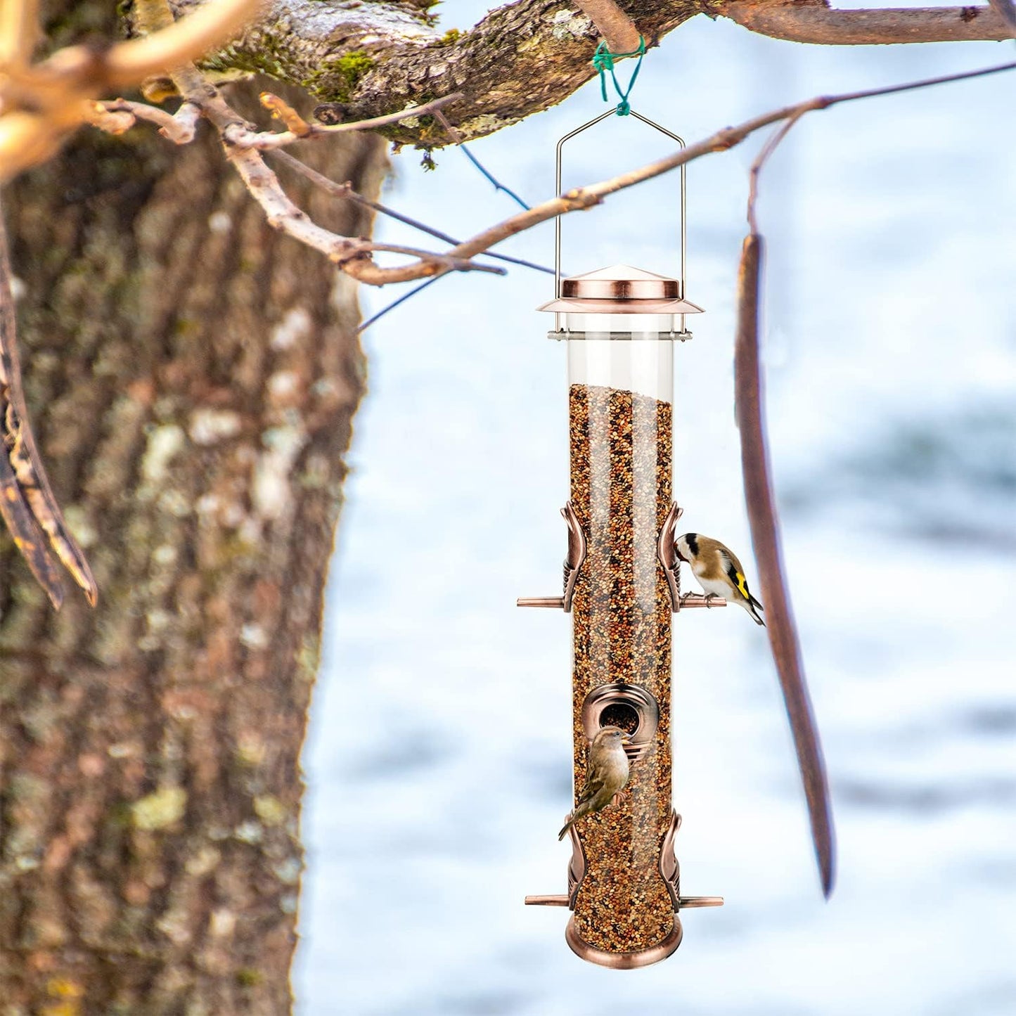 MIXXIDEA 2PK Metal Wild Bird Feeder Squirrel Proof for Outside Hanging - 6 Port Tube Transparent Finch Feeder With Steel Hanger (Antique Copper)