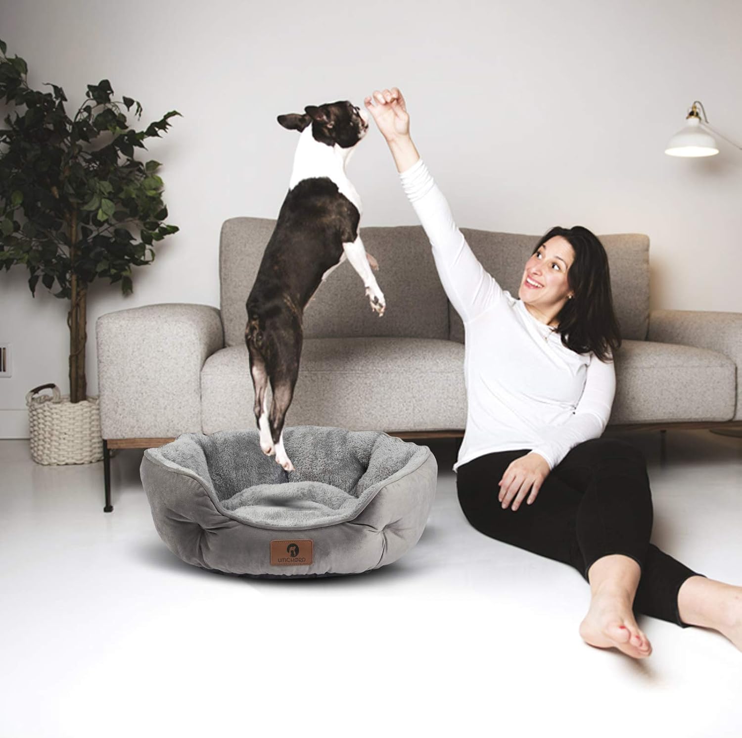 Asvin Small Dog Bed for Small Dogs, Cat Beds for Indoor Cats, Pet Bed 