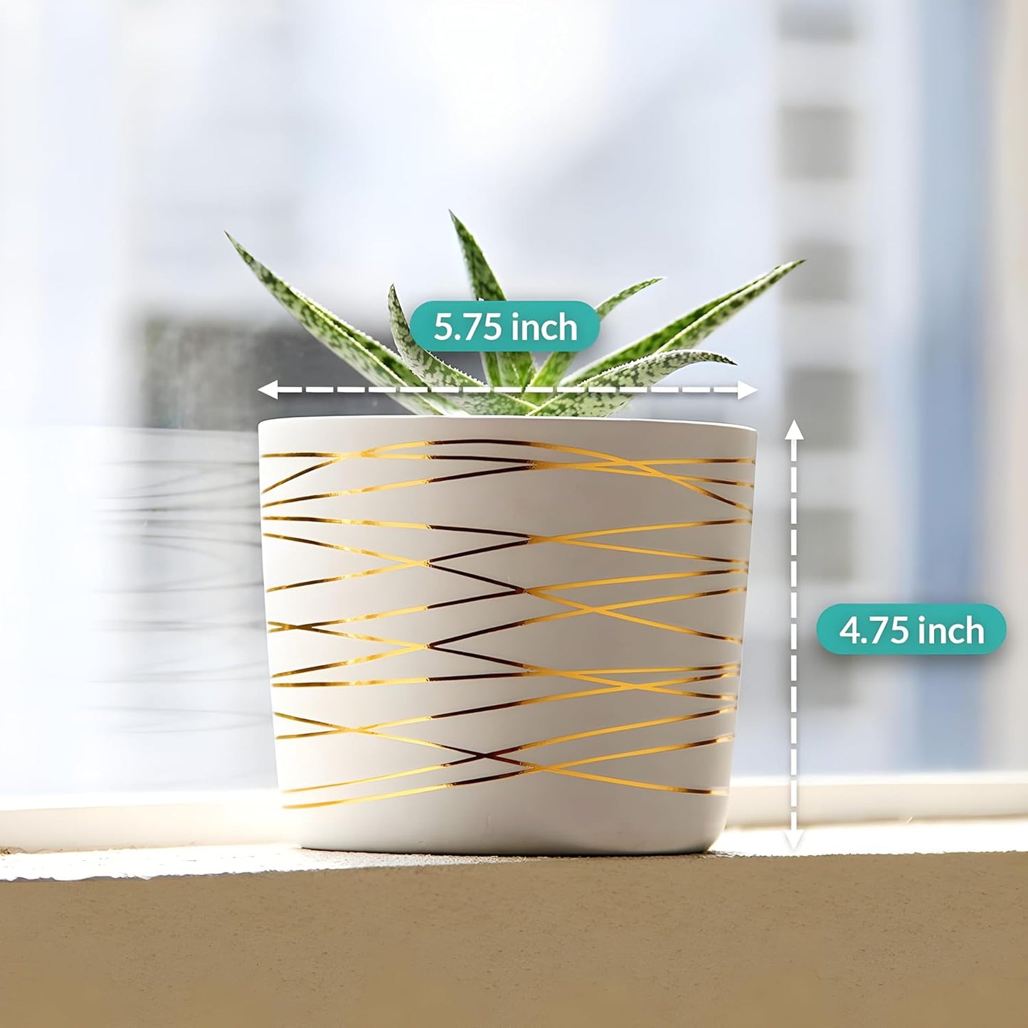 Willowy 6 Inch Ceramic Pot - Matte White with Gold Stripes - Drainage Plug Included