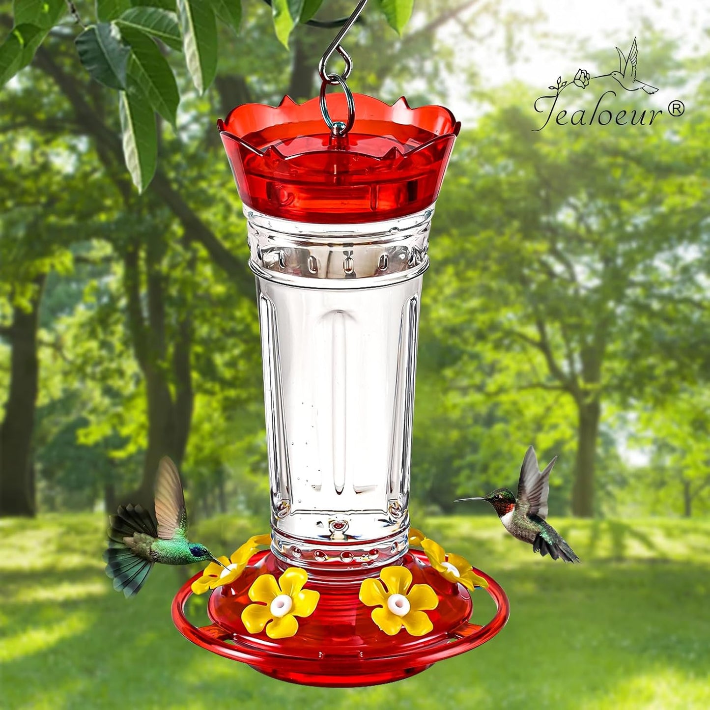 2 Pack Hummingbird Feeder for Outdoors Hanging, 18 OZ Humming Birds Feeders with 6 Bee Guard Feeding Ports & Built-in Ant Moat, Easy to Clean, Durable Outdoor Garden Decor(Clear BB)