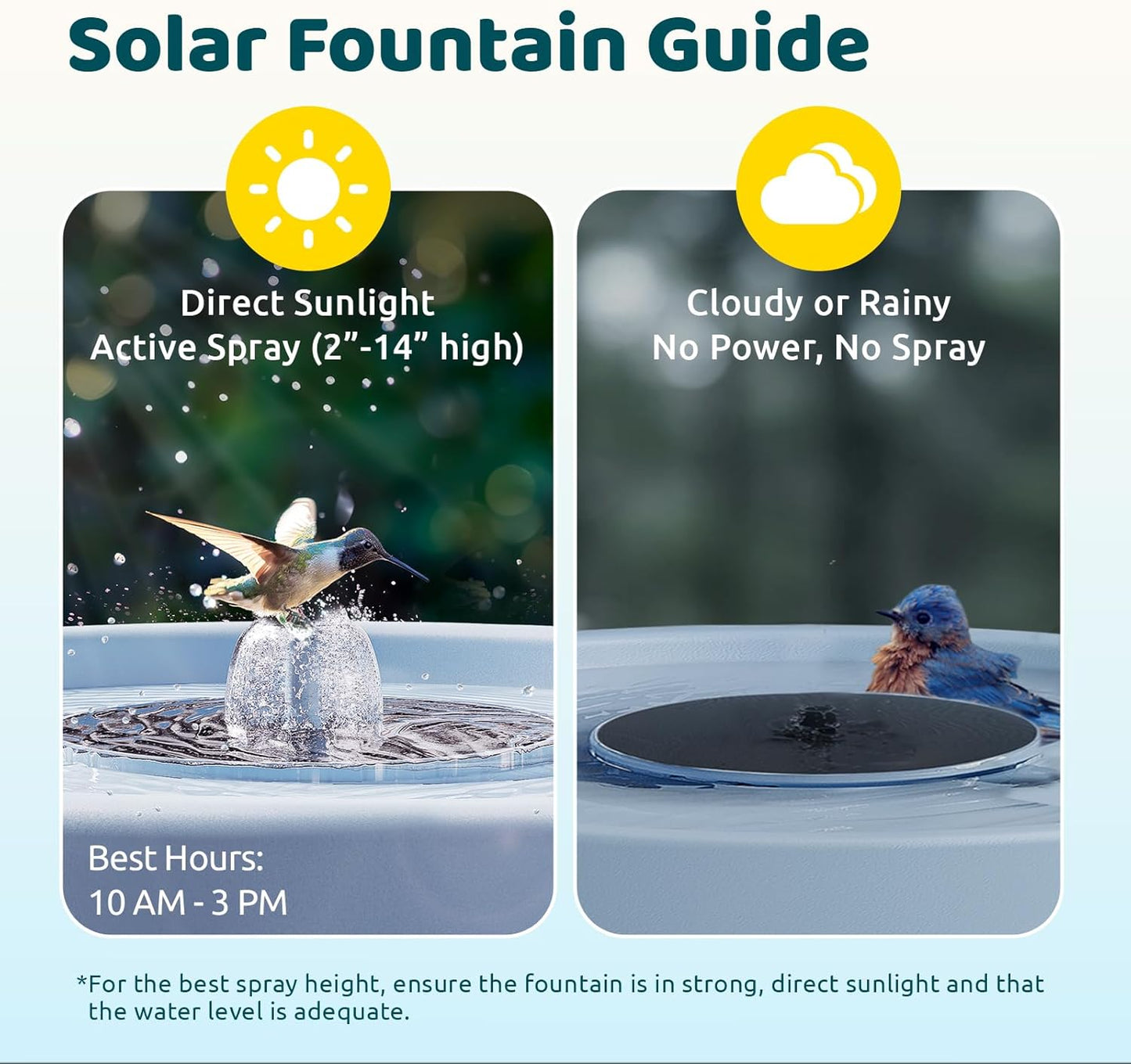 Birdfy Smart Bird Bath with Camera Solar Powered & Fountain & Stand, Dual-Lens Camera for Wildbird Watching, Auto Capture Bird Videos & Motion Detection (AI Lifetime)