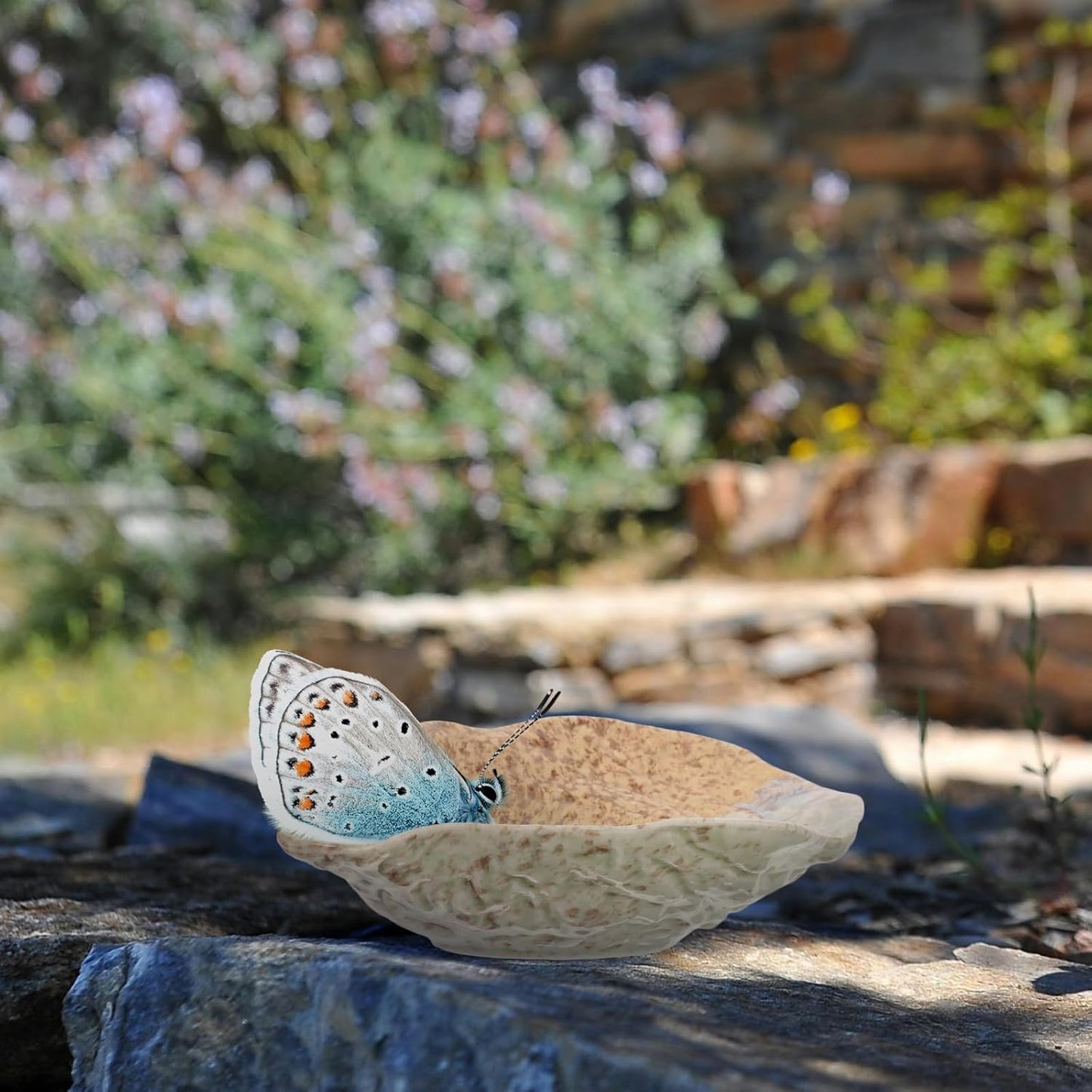 Ceramic Butterfly Water Feeder Tray Outdoor Garden Butterfly Puddler Dish for Lawn Yard Wildlife Decoration