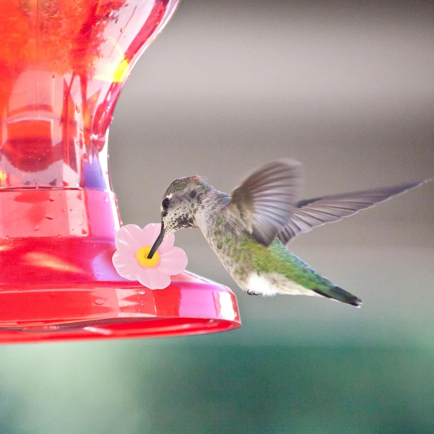 20pcs Hummingbird Feeder Replacement Flowers, Pink Bird Plastic Outdoors Hanging Hummingbird Feeder Parts Accessories with Cleaning Brushes Bee Guards & Feeding Ports (Yellow Core)