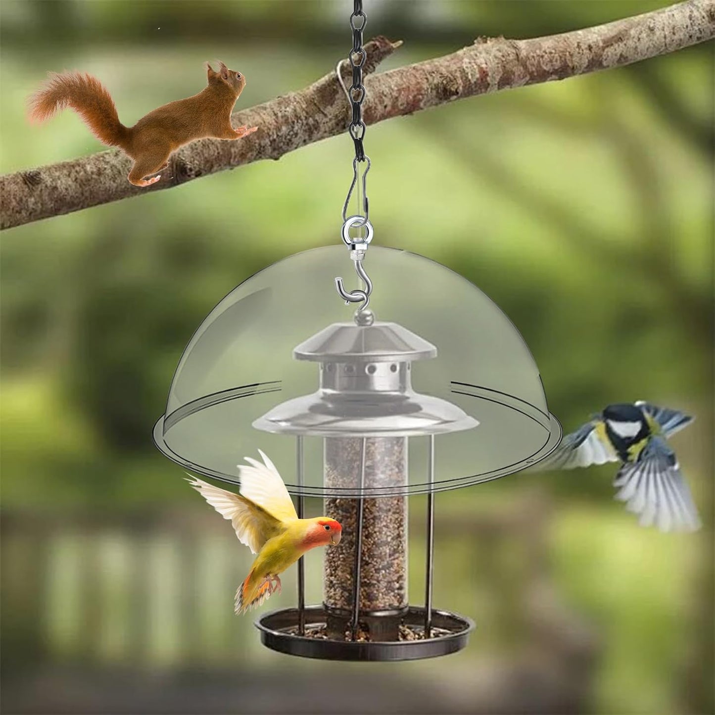 2 Set 11.8'' Bird Feeder Rain Guard, Clear Acrylic Round Squirrel Baffle Dome Hanging Hummingbird Feeder Protective Cover Weather & Predator Shield for Outdoor Garden Yard Use