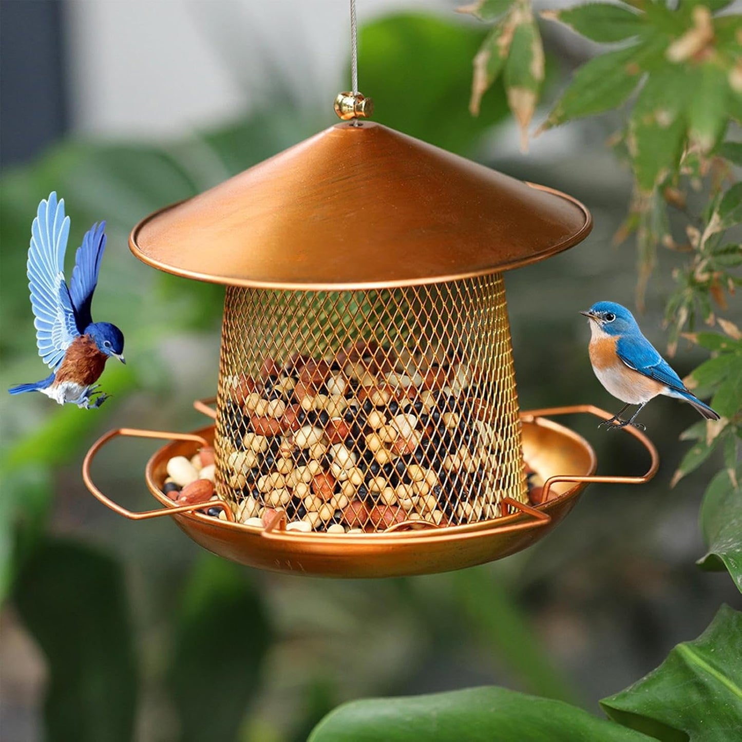 Bird Feeder - Heavy Duty Waterproof Iron Art - Small Wild Bird Food Feeder for Outside,for Finches Robins Sparrows Canary Budgies Backyard Balcony Patio Terrace