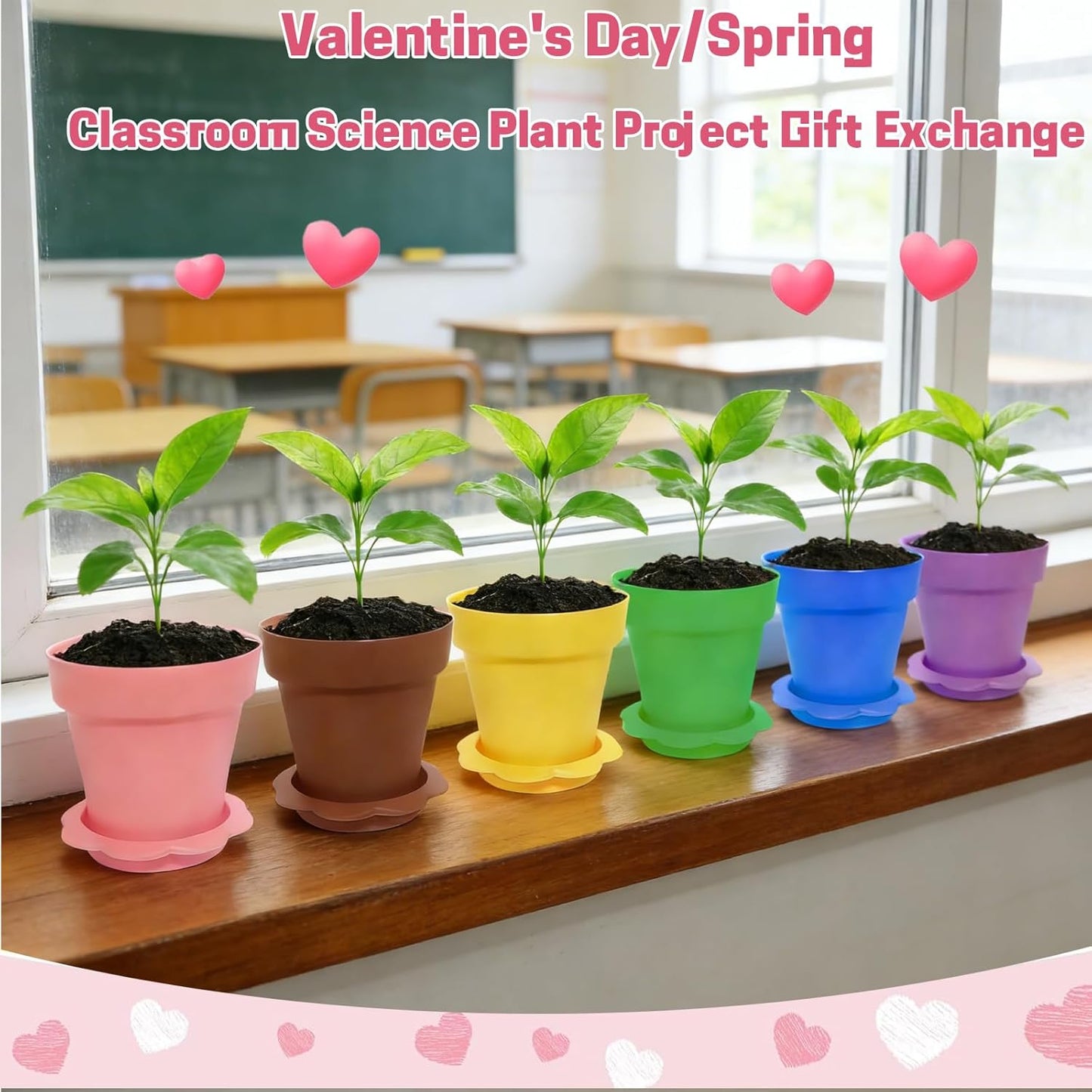 24 Set Valentines Day Cards for Kids Classroom,Nursery Pots with Humidity Dome Shovel and Seed Packet,Small Plastic Plant Pots Valentines Party Favors for Classroom Exchange (Not Included Seeds)