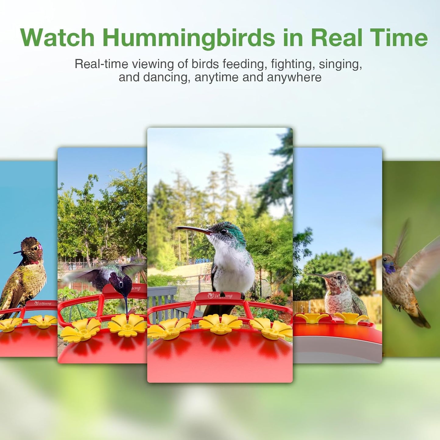 Hummingbird Feeder with Camera: Auto Capture & AI Bird ID, Wide Mouth 