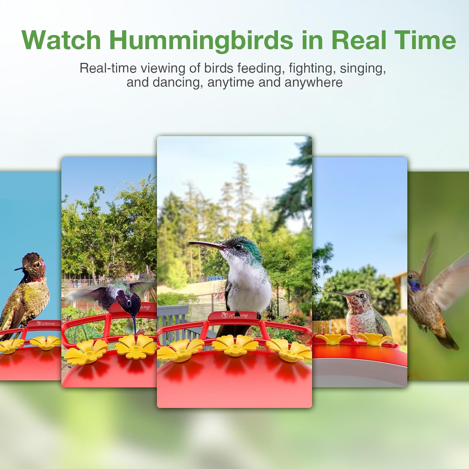 Hummingbird Feeder with Camera: Auto Capture & AI Bird ID, Wide Mouth 