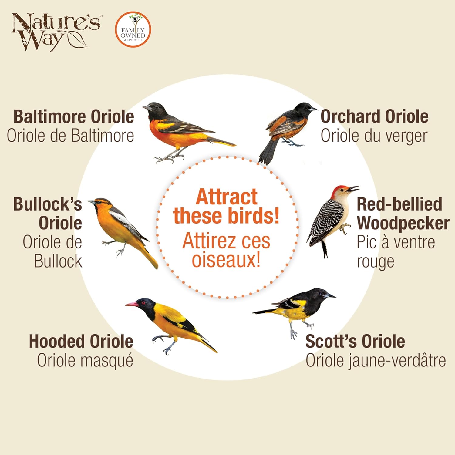Nature’s Way Multi-Station Oriole Feeding Center with Ant Moat & Weath