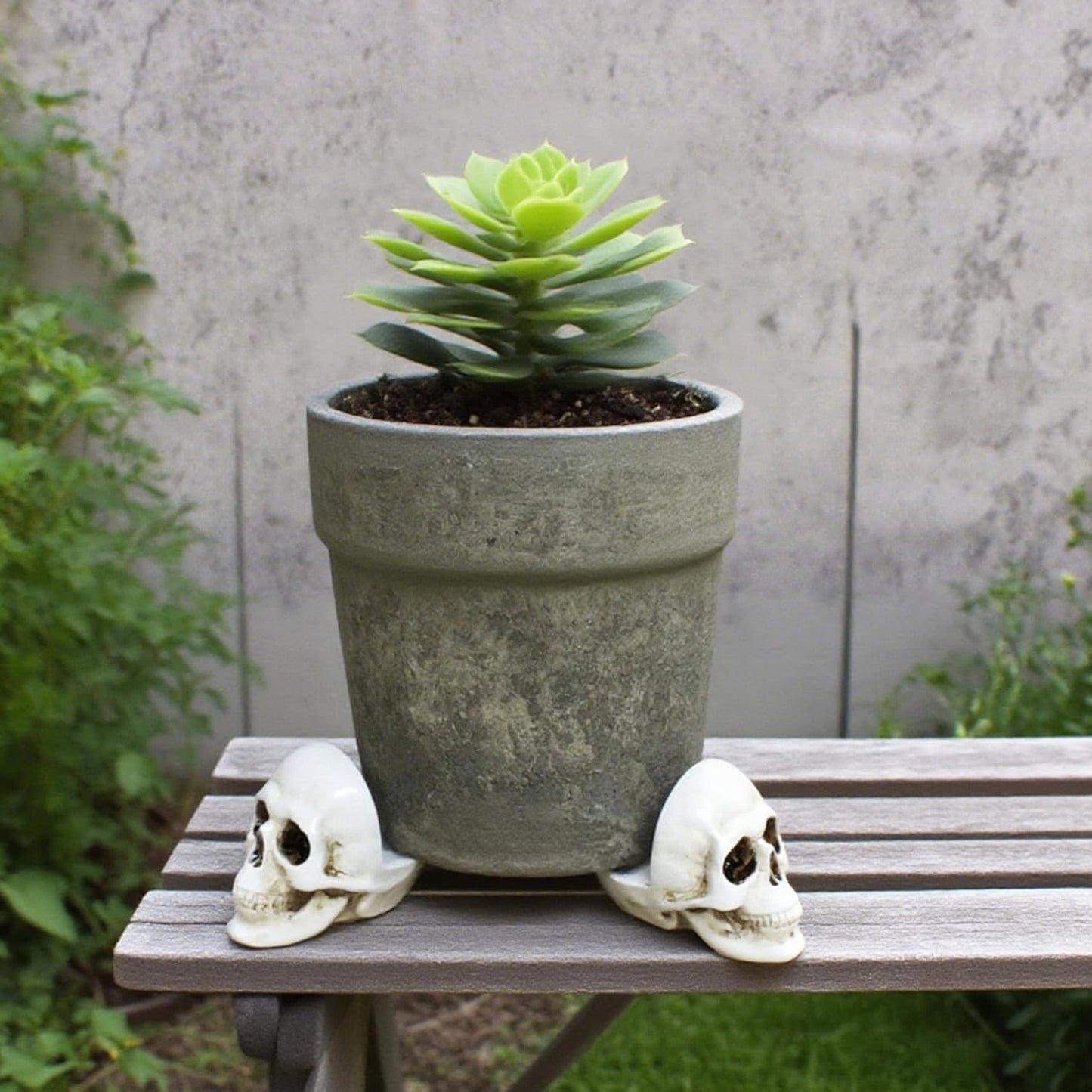 6Pcs Plant Riser, Pot Feet for Planters, Resin Black Skull Head Flower Pot Feet Stand, Halloween Skeleton Figurine Statue, Planter Stand Riser for Garden Home Halloween Plant Tray Decorations