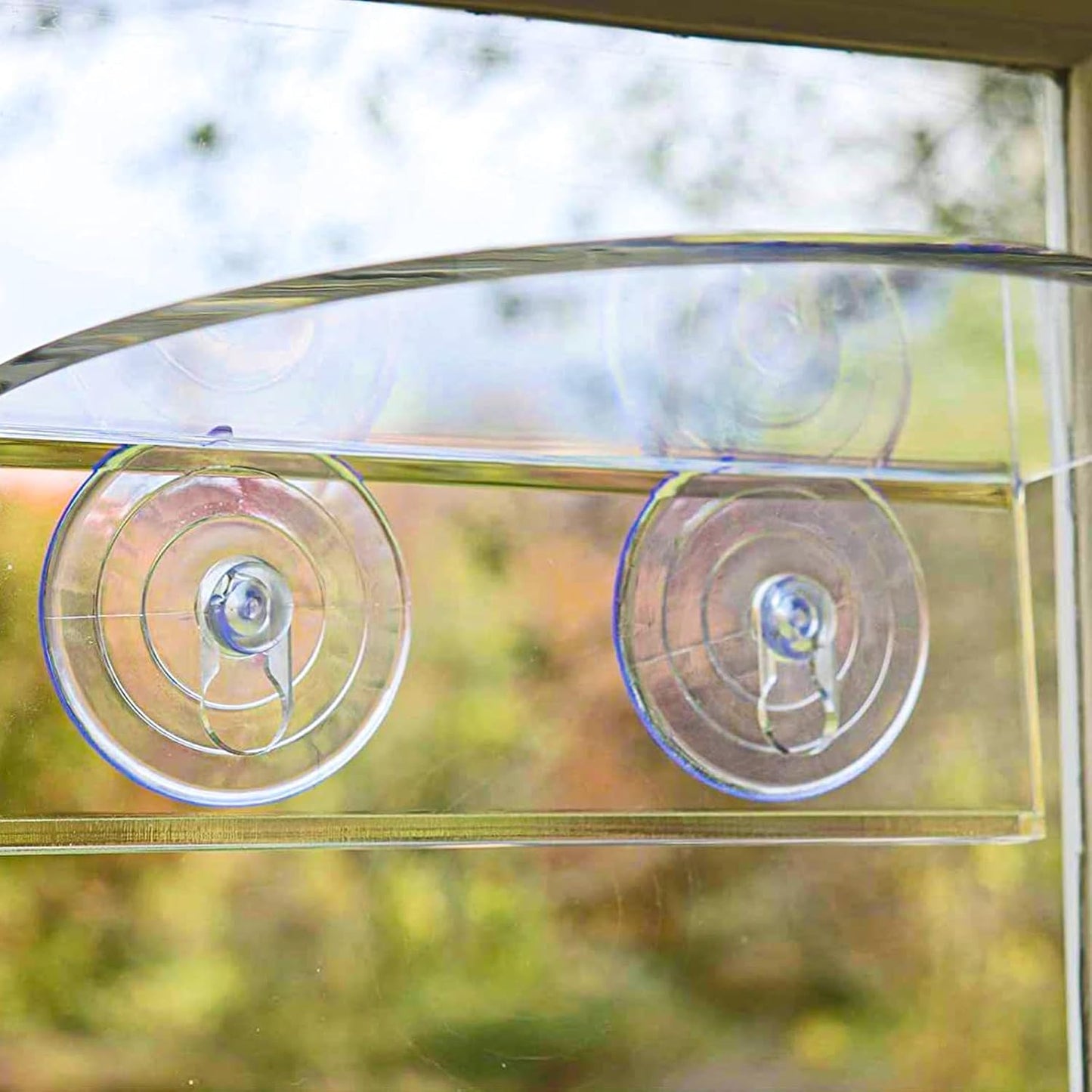 6 Pack Replace The Suction Cups of The Birds The Suction Cup of The Glass Bird Feeder, The of The Window of The Bird Feeder