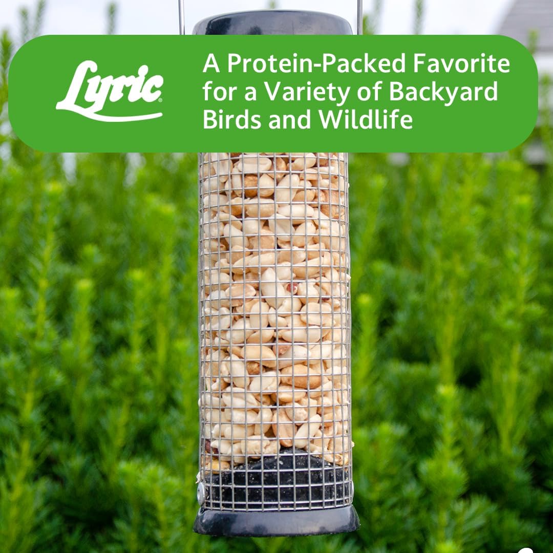 Lyric Peanut Pieces - Shelled Peanuts for Wild Birds 15 lb and Lyric F