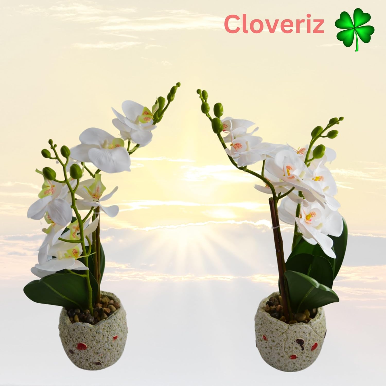Artificial Orchid Plants with Pots, White Phalaenopsis, Set of 2, Deco