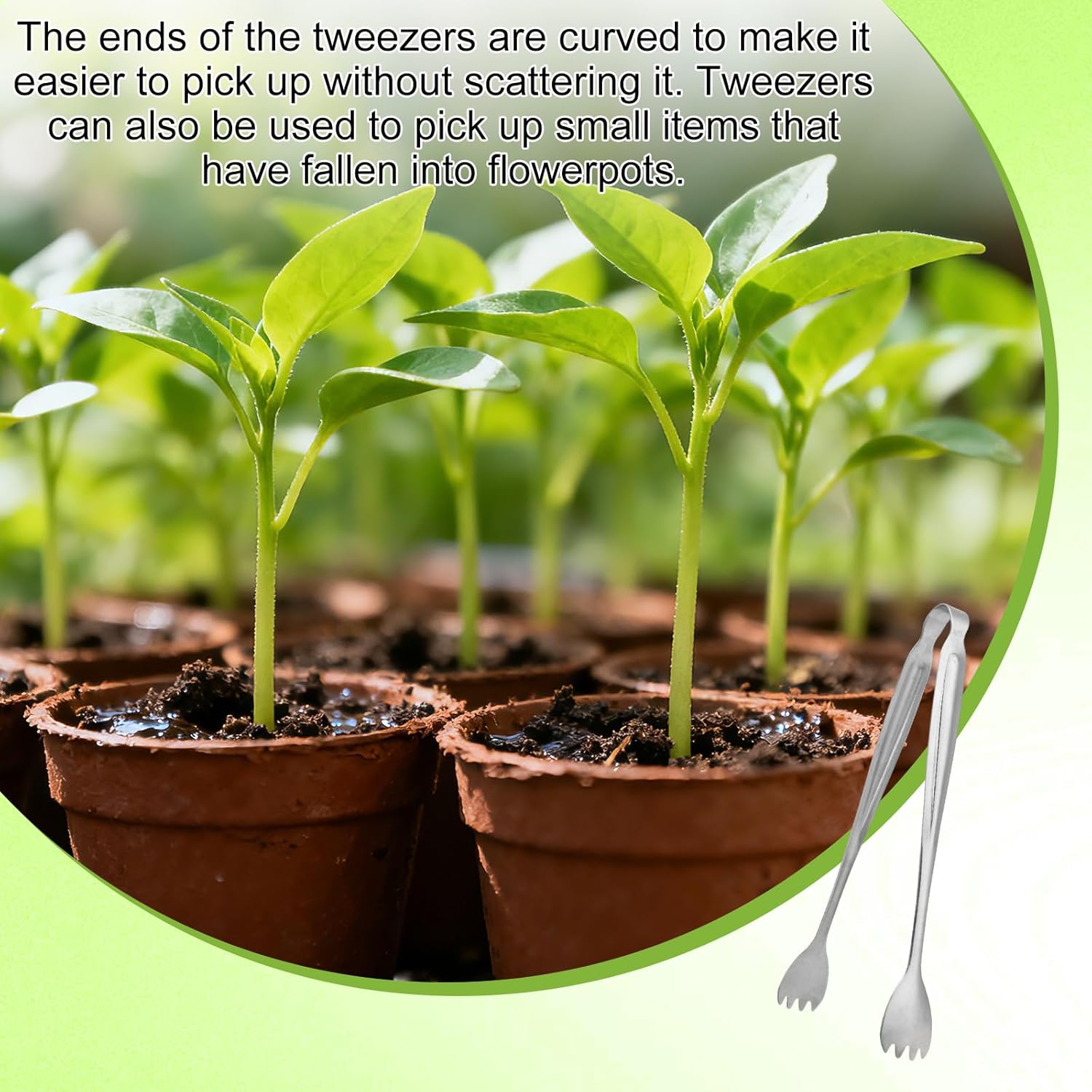 Seedling Transplant Tong & 3pcs Tweezers Set, Stainless Steel Long Thi
