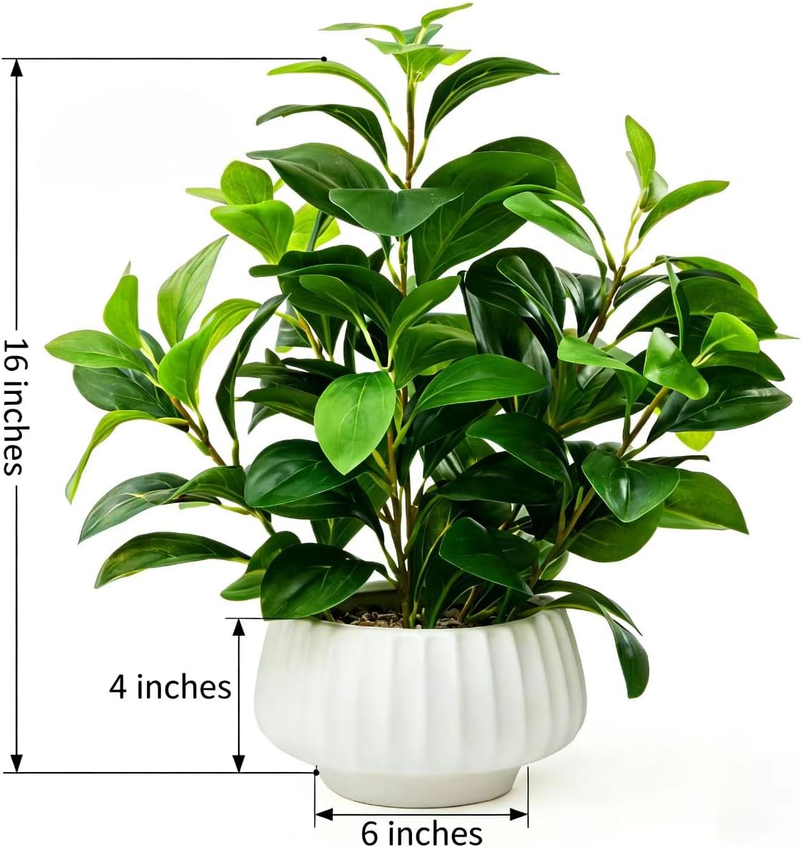 Artificial Peperomia Plant 16.5” Tall Lifelike Faux Greenery in 6” White Ribbed Ceramic Pot Realistic Indoor Fake Branches for Home Office Desk Shelf Bathroom Bedroom Farmhouse Decor