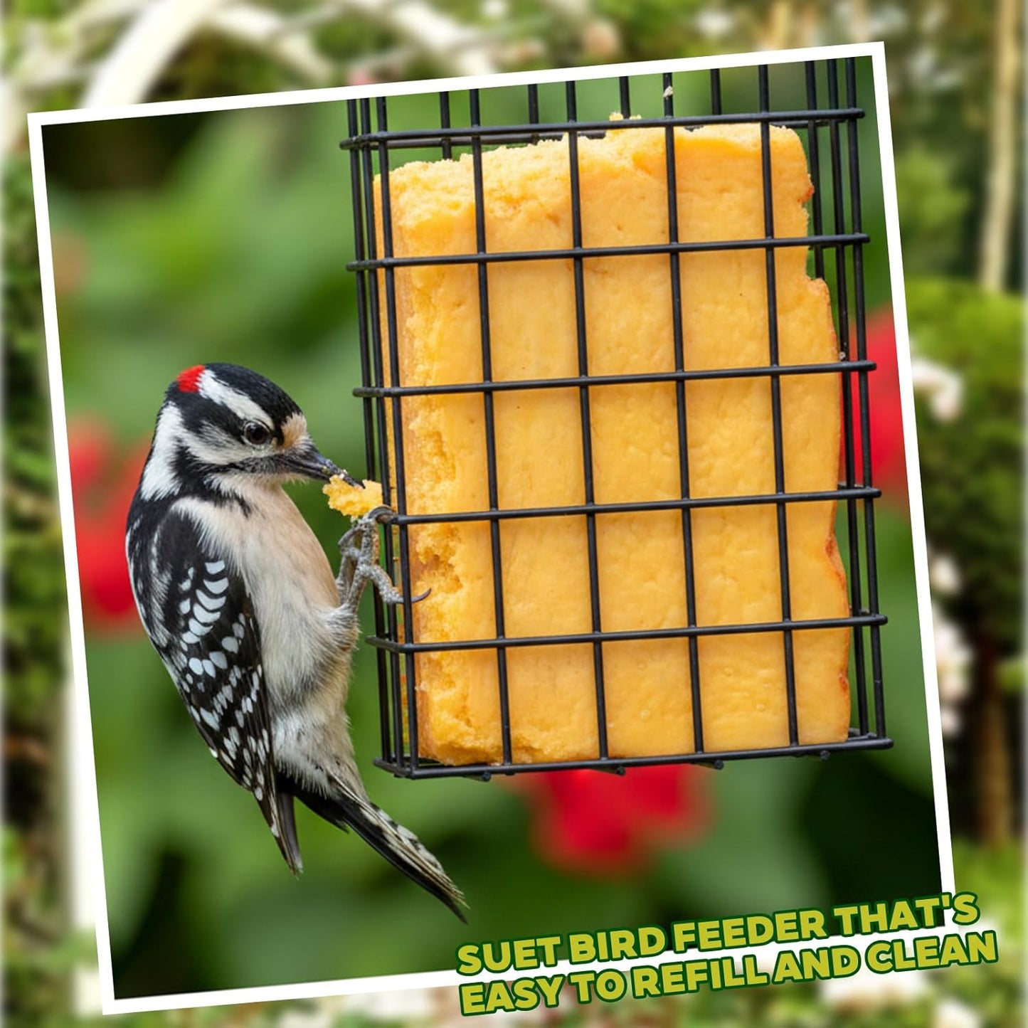 6 Pack Suet Bird Feeders, Outdoor Hanging Metal Cage for Wild Birds, S